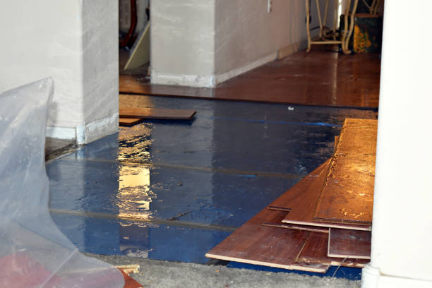 Professional Water Damage Restoration technician working in Melrose, MA